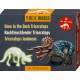 Kit de Excavación Fosforescente Triceratops