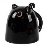 Taza de Cerámica UP & DOWN BLACK CAT