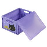 Caja Plegable BLACK CAT / I-TOTAL