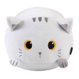 Peluche Almohada WHITE CAT - I-Total