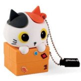 USB CAT BOX - 32 Gb