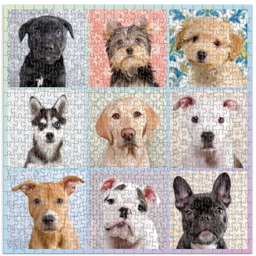 Puzzle Dog Portraits 500 piezas 2
